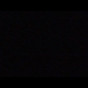 Meet your Posher, Benjamin